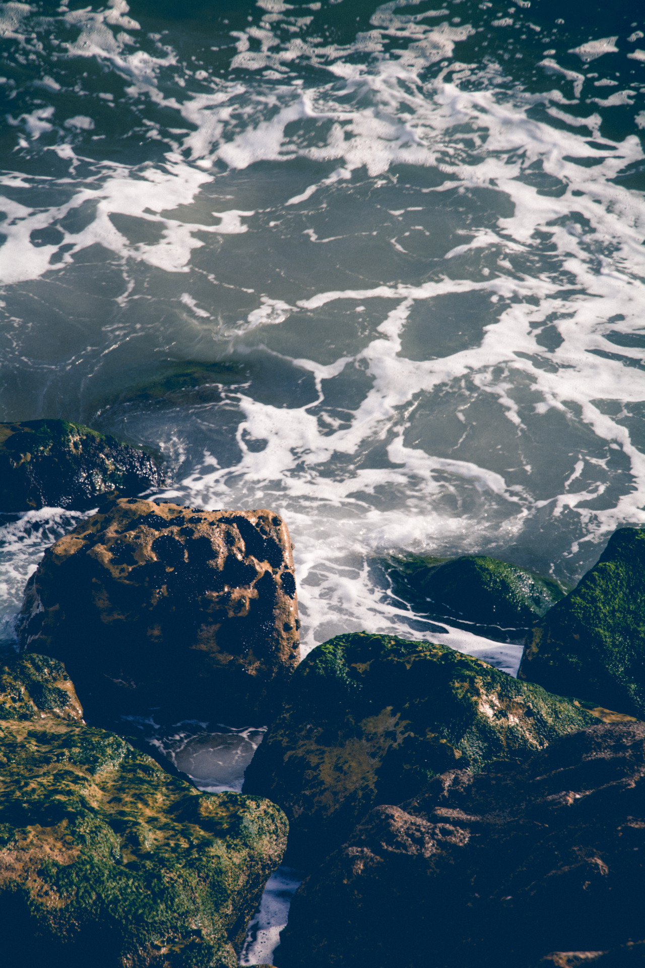 pedromgabriel:  - Attraction - By Pedro Gabriel 