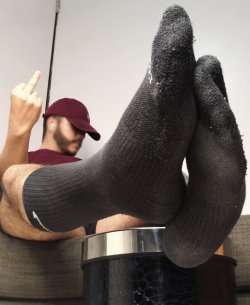 addictedtosox:Sniff, sniff and more sniffin. All you need do is SNIFF!