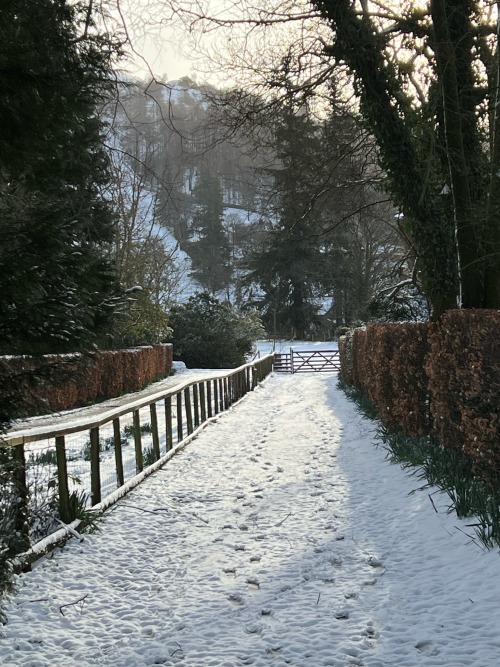 Snowy Few Hours In Grasmere , 9th & 10th March 2023