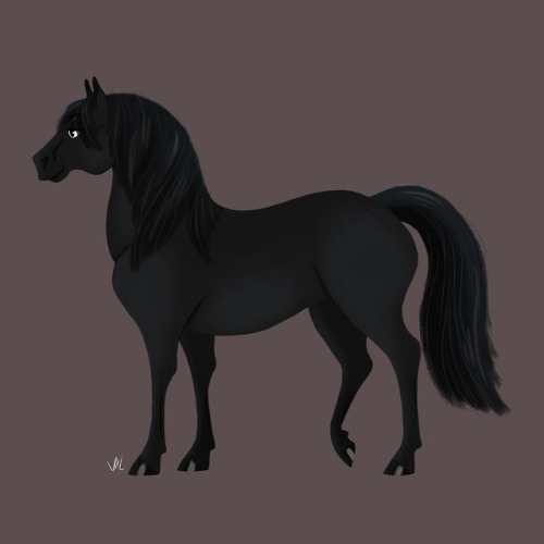 Horse races for Cavaland during my internship there Part1(Part2)
