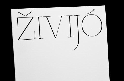 Custom lettering produced for photographer Vendula Knopová, for her project ŽIVIJÓ. The paper folder