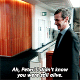 gilderoys:  malcolm tucker in every episode—3.04 adult photos