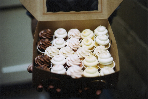 sinkling:  Cupcakes by julie marie craig on Flickr.