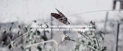 sanellydicarmens: romeo and juliet + favorite quotes                                 What’s in a nam