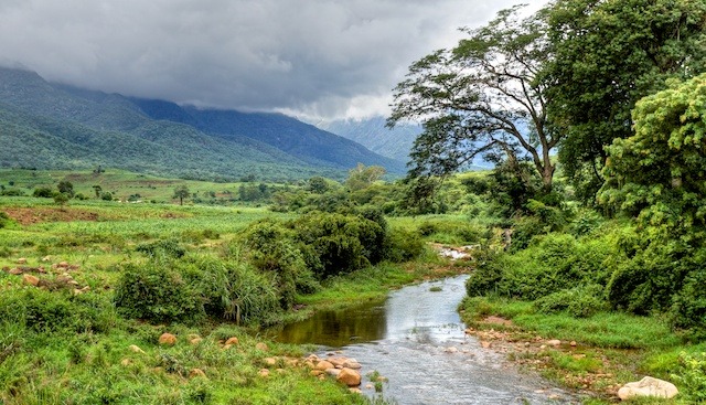 African landscape.