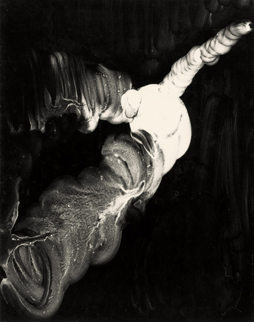 chagalov: Lotte Jacobi, Photogenic abstraction, 1946   [+]  Encouraged by Leo Katz, in the