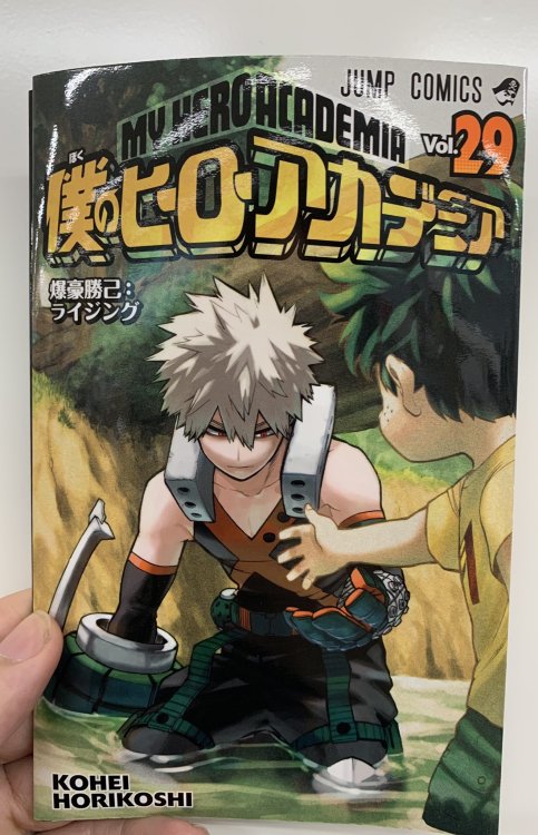 My Hero Academia Volume 29 Cover