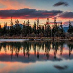 lewerta:   Sunrise reflections in Canmore Alberta as a layer of ice slowly starts to form over the reflection pools.   Photo:  Mark Jinks    