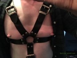 ttom-cgn:  me with harness / ich mit Harness05-2017lick my nipples!! 