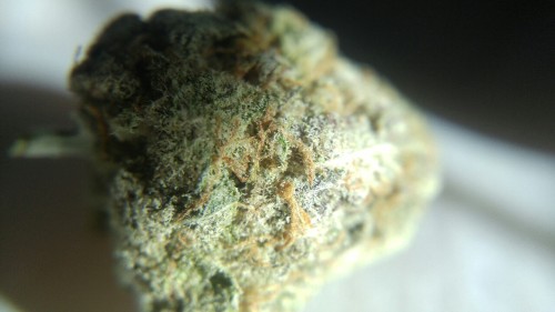 weed-breath:  Different qualities of light on one frosty nug 