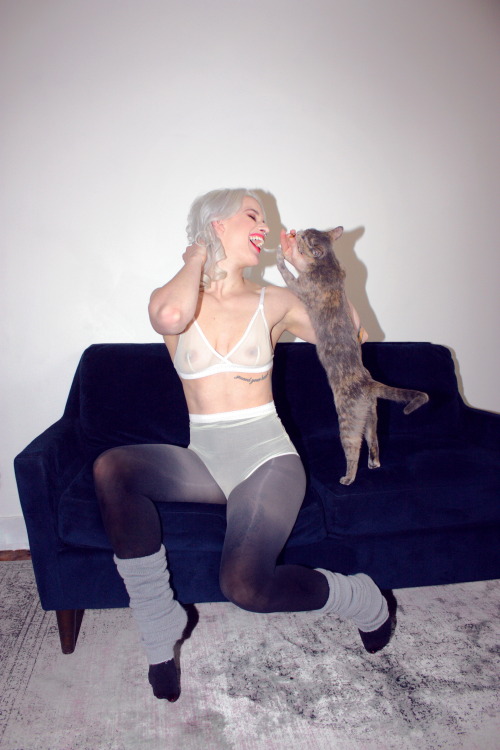 btslingerie: Casey x Cats x Lingerie - Between the Sheets Blog feline characteristic you alread