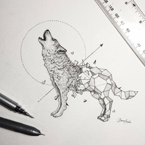 awesome-picz:    Intricate Drawings Of Wild porn pictures