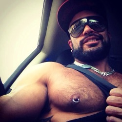 bonerriffic:  Furry Australian muscle stud Rogan Richards (Twitter: @RoganRichards) (Instagram: @rogan_richards)