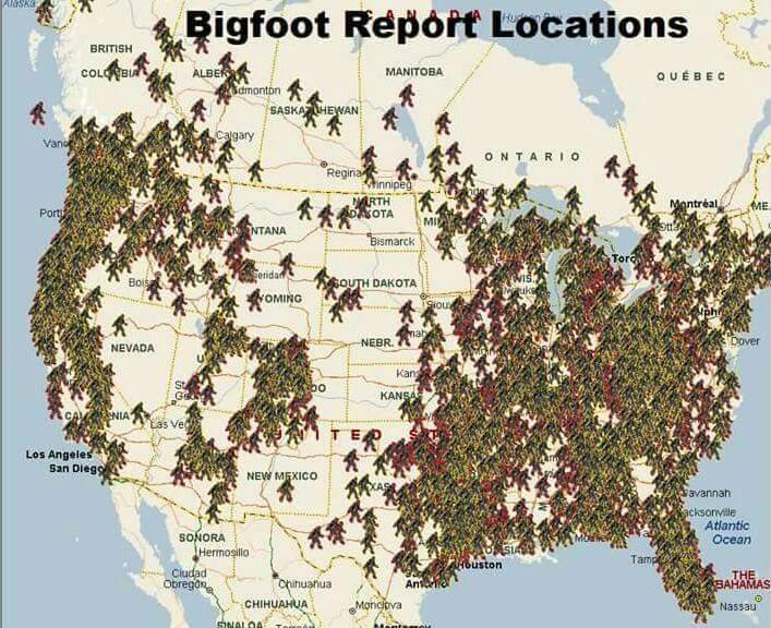 808sandamenbreaks:
“ lalaithion:
“ mavenmemnon:
“ unexplained-events:
“Reported Bigfoot Sightings
” ”
Can’t believe Bigfoot was looking at furry porn while reading Martha Stewart in an IHOP
”