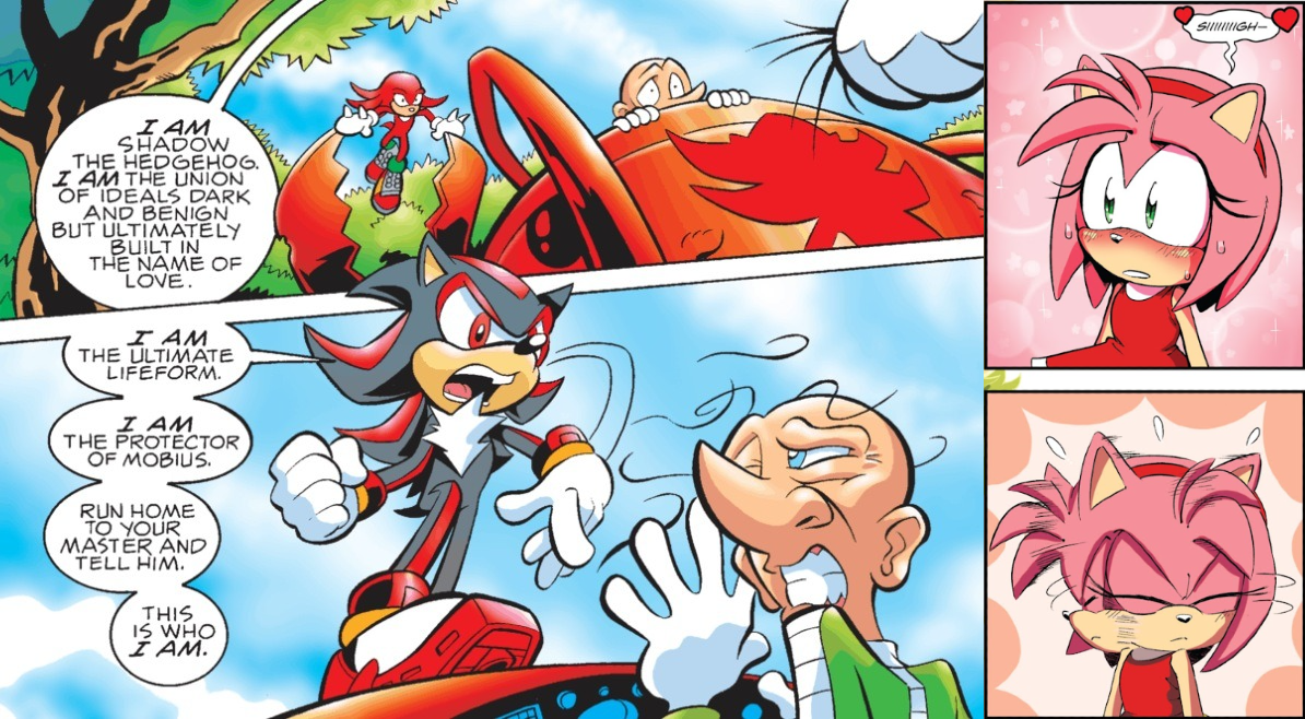 Amy & Shadow: The Slap!, Archie Sonic Comics