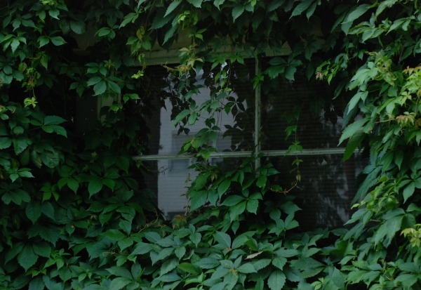 wolftramp:  Vintage Blog ☼ Follow ninepulse for interesting, amazing, informative