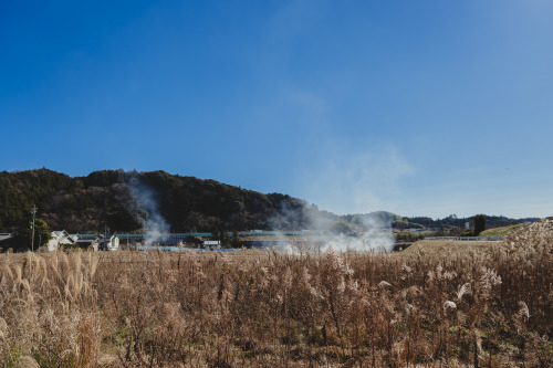 『新年の香り』sony a6400 + SIGMA 16mm F1.4 DC DN | Contemporary2022.01.05location : 静岡県 Shiuoka, Japan神社、事任