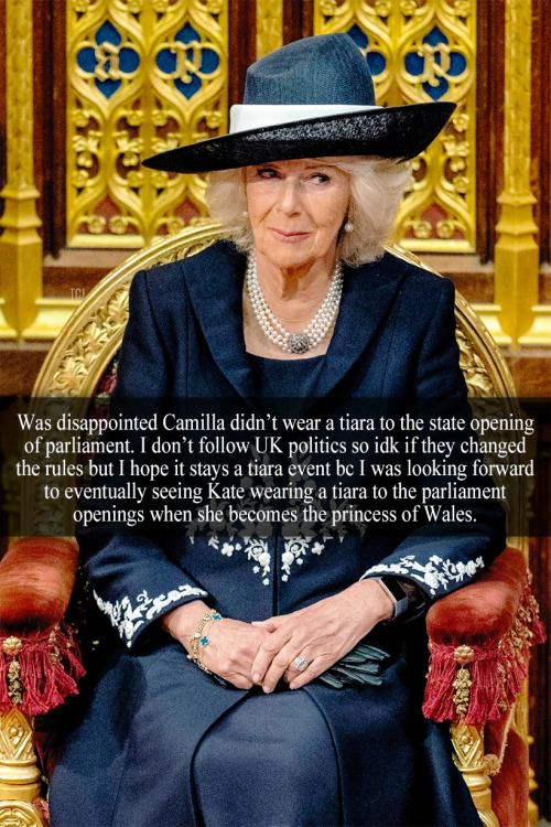 “Was disappointed Camilla didn’t wear a tiara to the state opening of parliament. I don’t follow UK 