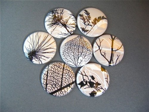 7 Leaf Fridge Magnet/Pinback Button$8.75[x]