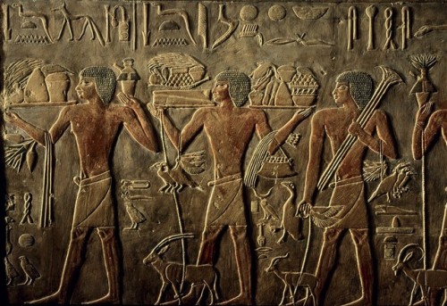 Relief depicting offering bearers from the Mastaba of Ptahhotep and Akhethotep. Old Kingdom, 5th Dyn