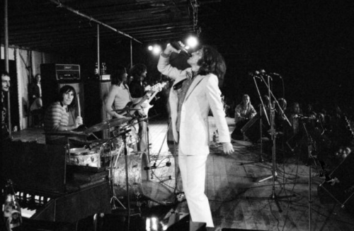 not-boring-though:The Kinks on Roskilde Festival, Denmark, June 30 1972 (Photo by Jorgen Angel/Red