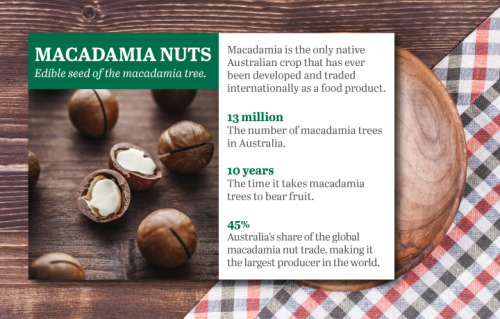 Foods Australia Brought to the World (Infographic)