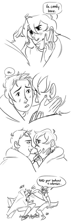 dragonpeanut:  long time no klance