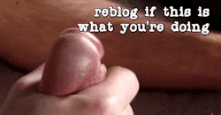 big-white-cocks-daily:  Reblog if this is what you‘re doing 😈