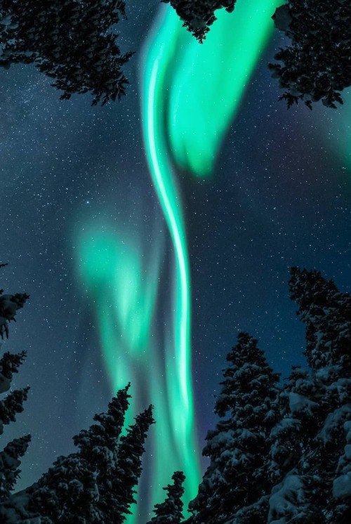 j-k-i-ng:“Anticipated Winter” by | Topi LeikasYllästunturi in Lapland, Finland #skyscapes#night sky#scenery#Finland#🌏 #rb j k i ng