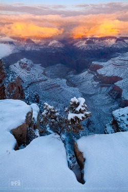 bankiablackcard:  Grand Canyon Winter Wonderland