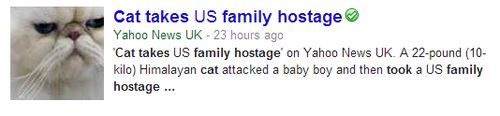 brigwife:  hotsuburbandad:  tourettes:  why do people say innocent animal do guilty