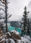 hannahaspen:Banff National Park, Alberta© Hannah Aspeninstagram.com/hannah.aspen