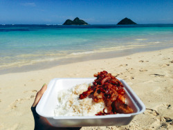 gypsyone:  Bacon + Rice and the beach all to myself 