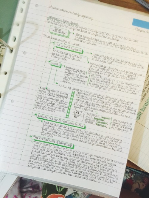 studying-engineering: study-read-study: 11-08-2015 // On tonight’s episode of “I Can&rsq