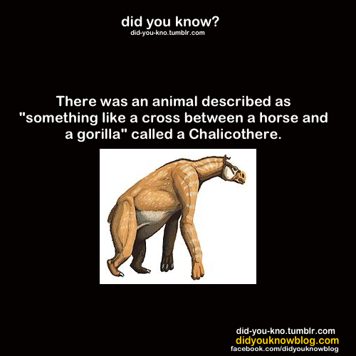 did-you-kno:  Source