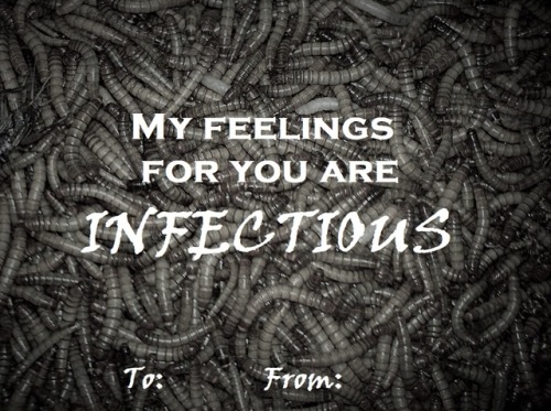 ernmark:Here are a few Magnus Archives valentines, just in case you need to tell that special eldrit
