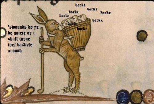 thoodleoo: some medieval doggos for you all