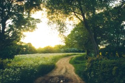 dpcphotography:  Walkin’ down that old country road