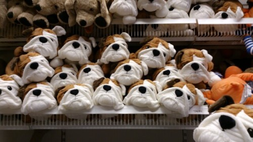shuushoku:Ikea sells bulldog plushes.I named them Max. All of them.