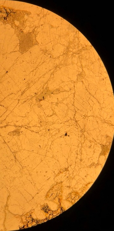optical-mineralogy:AnorthositePlagioclase Feldspar (polysynthetic twinning)Clinopyroxene