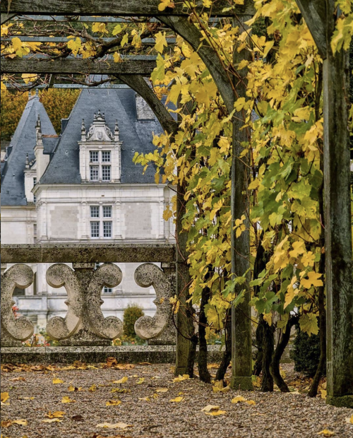 annedebretagneduchesseensabots:Château de Villandry captured by Johan Adlercreutz  2