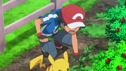 every-ash:  Extremely rare gardening Ash. Those weeds won’t stand a chance.  - XY, Episode 058: “The Hiyoku Gym Match! Gekogashira VS Gogoat!!” / “The Green, Green Grass Types of Home!”   