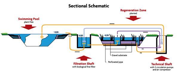 ultrafacts:    As the first chemical-free, all natural public swimming pool in the