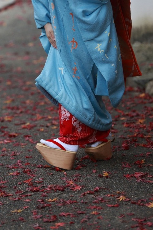 geisha-kai:November 2016: maiko Koeri wearing a kanji-painted kimono (SOURCE)