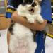blxndingin:Please look at my mom&rsquo;s squeaky and beepy baby