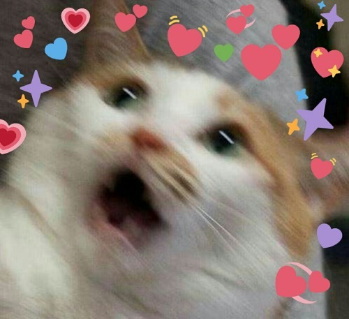 downloadedcontent:  me: just chillin my boyfriend: breathes me:  