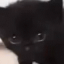 subtlyhide