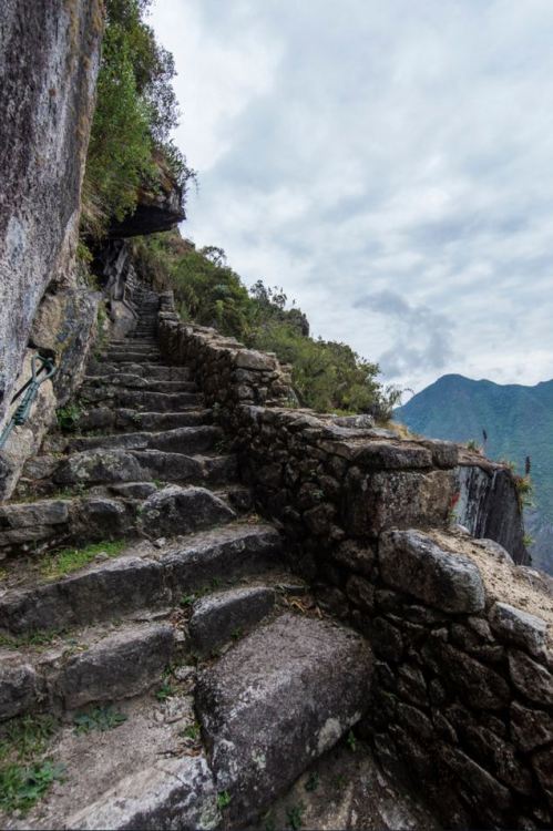 Sacred City path, Machu Picchu / Peru (by Javier Lopez Pezzani).