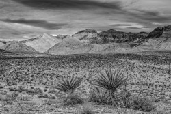 zoeblue:Sunrise at Red Rock Canyon, Nevada