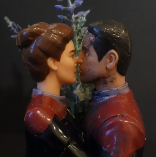 action-figures-in-action:Chakotay is on the search for some flowers for Valentine’s Day. But it does